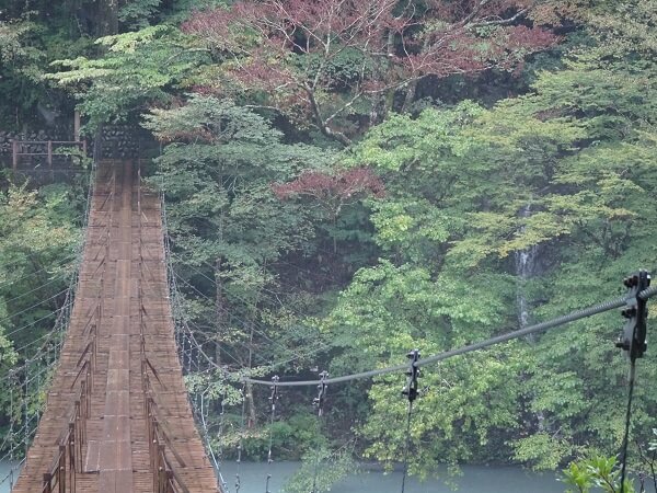 渡りきった先