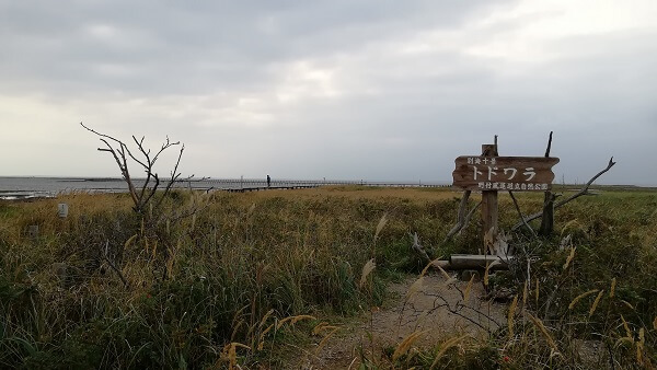 トドワラへの遊歩道